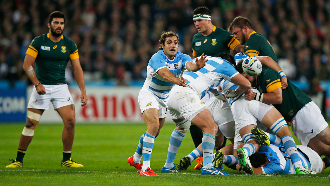pumas rugby pumas rugby
